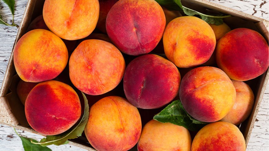 Fresh peaches in a basket