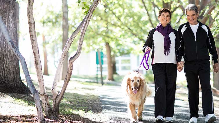 People taking a walk with their dog