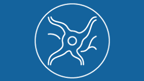 Stroke Program
