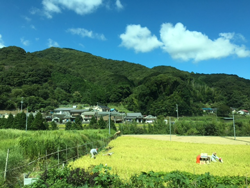 バスからの風景