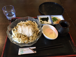 地元名物 B級グルメの鰹うどん