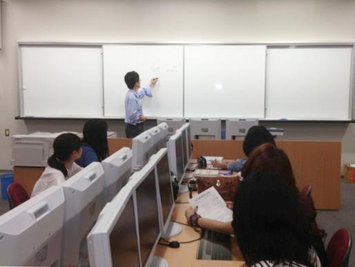 2013_ochiaisemi