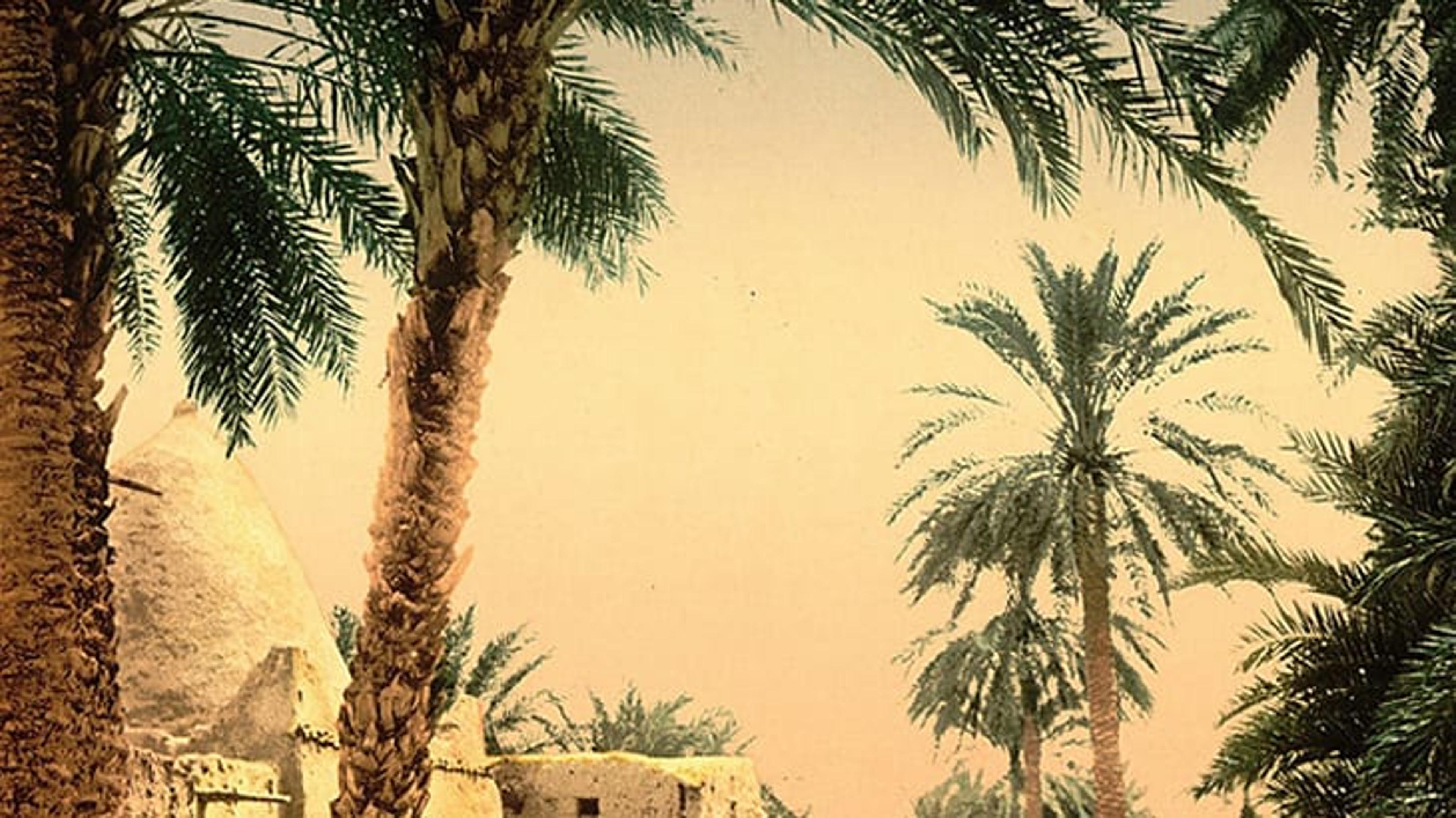 Biskra, sortilèges d’une oasis