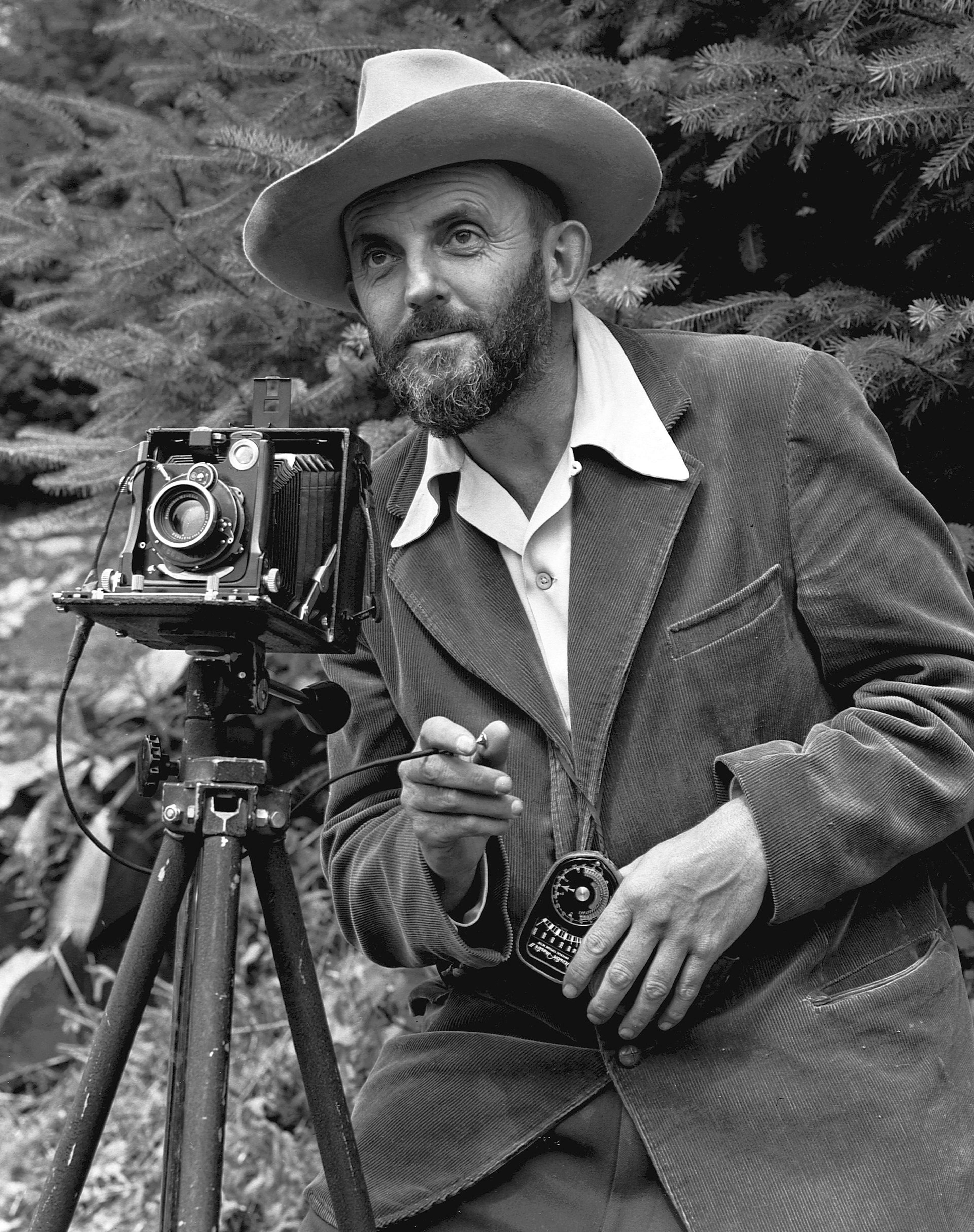 Ansel Adams, le maître du paysage