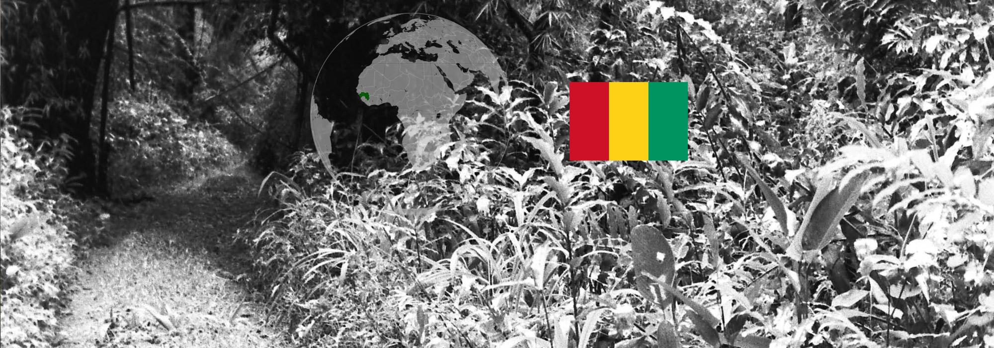 Guinée 2015
