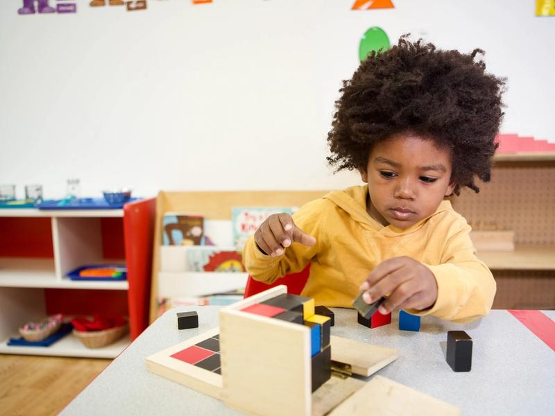 Apple Montessori Schools and Camps