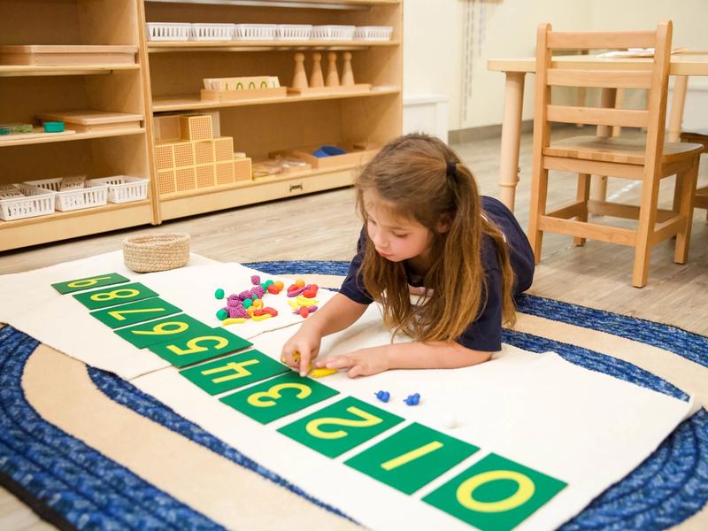 Apple Montessori Schools and Camps
