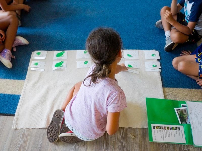 What to Expect During Your Child’s First Year in a Montessori Classroom ...