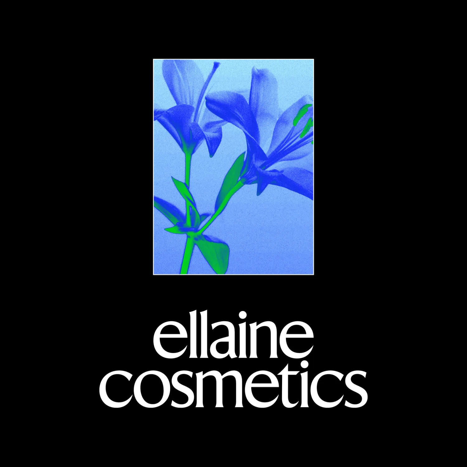 Ellaine