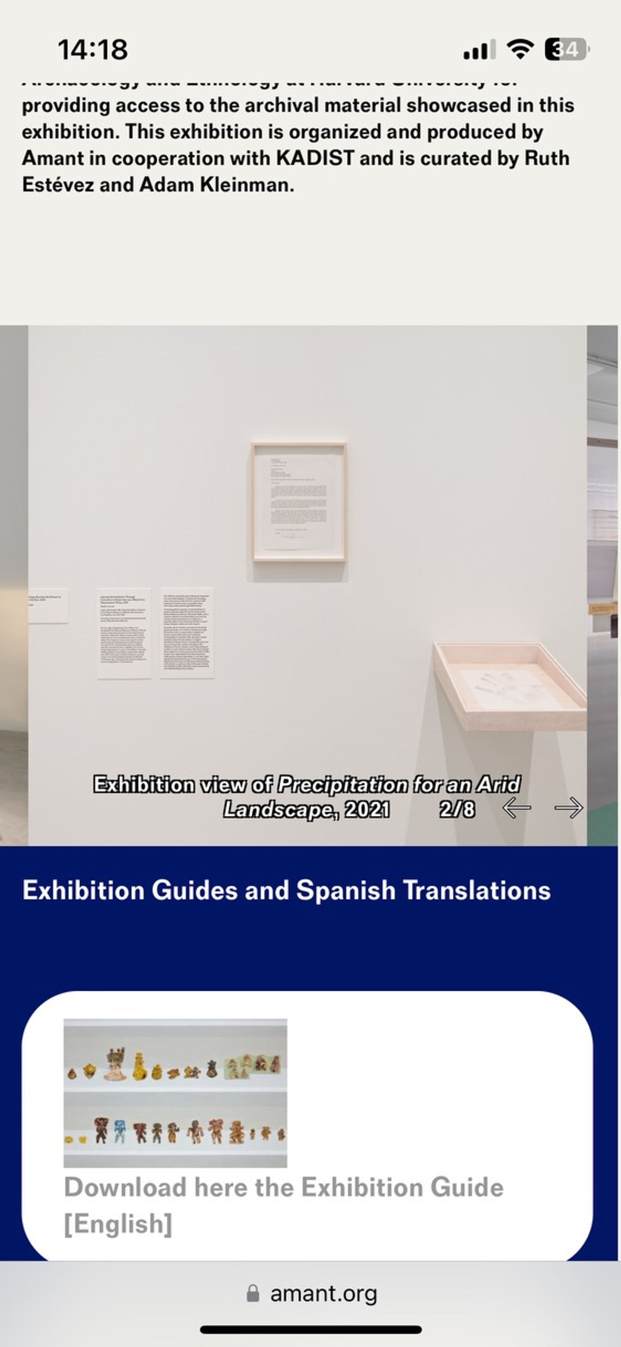 Screenshot of mobile version of the Amant website showing an exhibition view photo with artwork and an extended wall label. Other information visible: use of captions, information hierarchy.