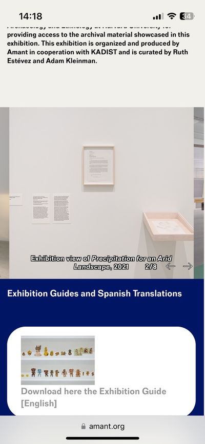 Screenshot of mobile version of the Amant website showing an exhibition view photo with artwork and an extended wall label. Other information visible: use of captions, information hierarchy.