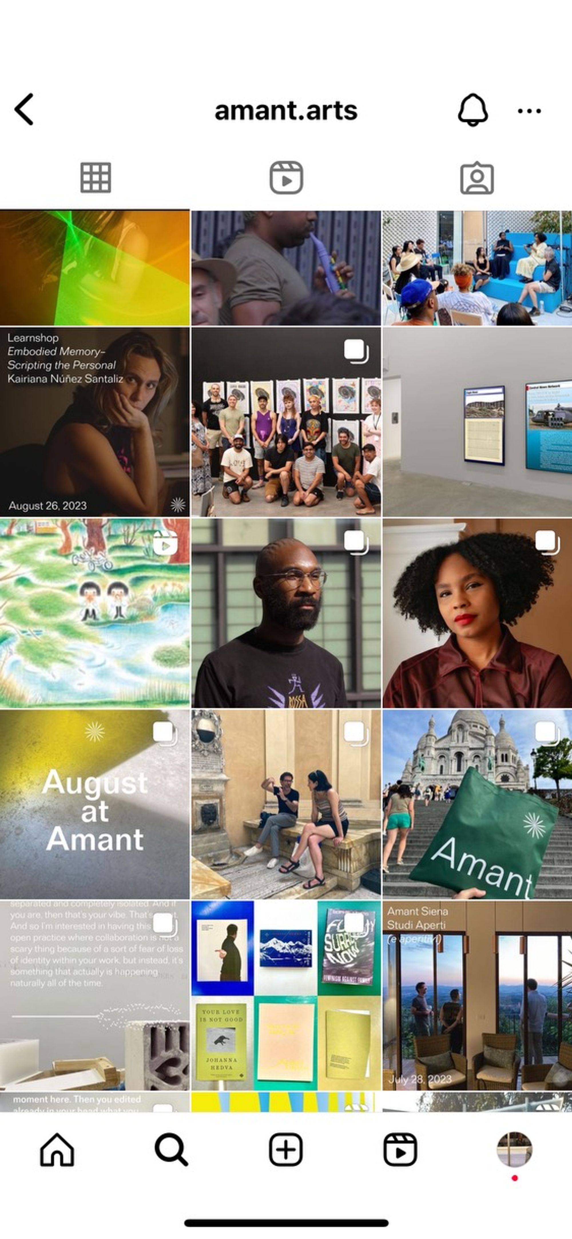 Screenshot of an overview of the instagram grid of @amant.arts account