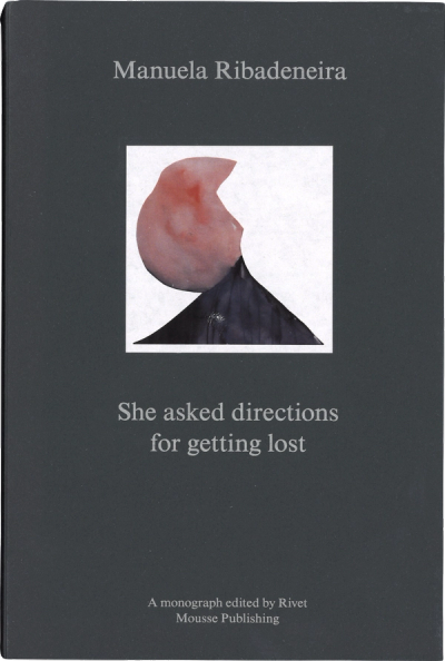 Scan of the cover of a book. It is dark gray with a small picture of a volcano. Light grey text states the name of the artist, title, and editors