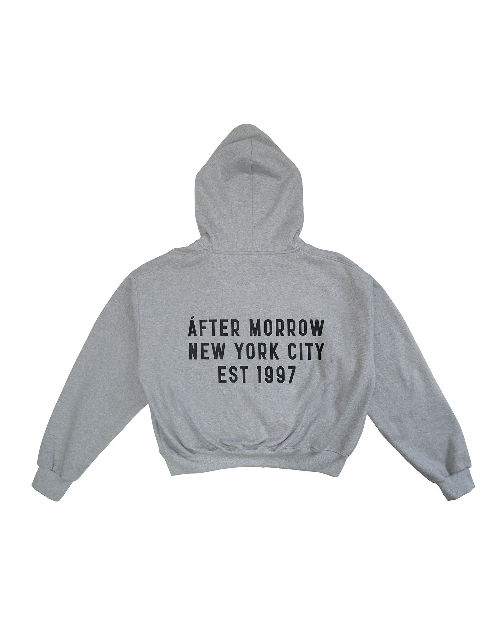 Model wearing the grey AFTERMORROW heavyweight zip hoodie from the front