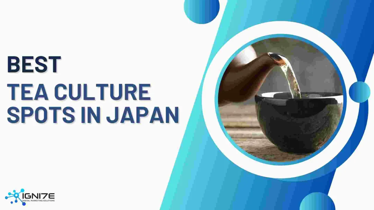 일본에서 전통 차 문화를 체험할 수 있는 최고의 지역 6곳