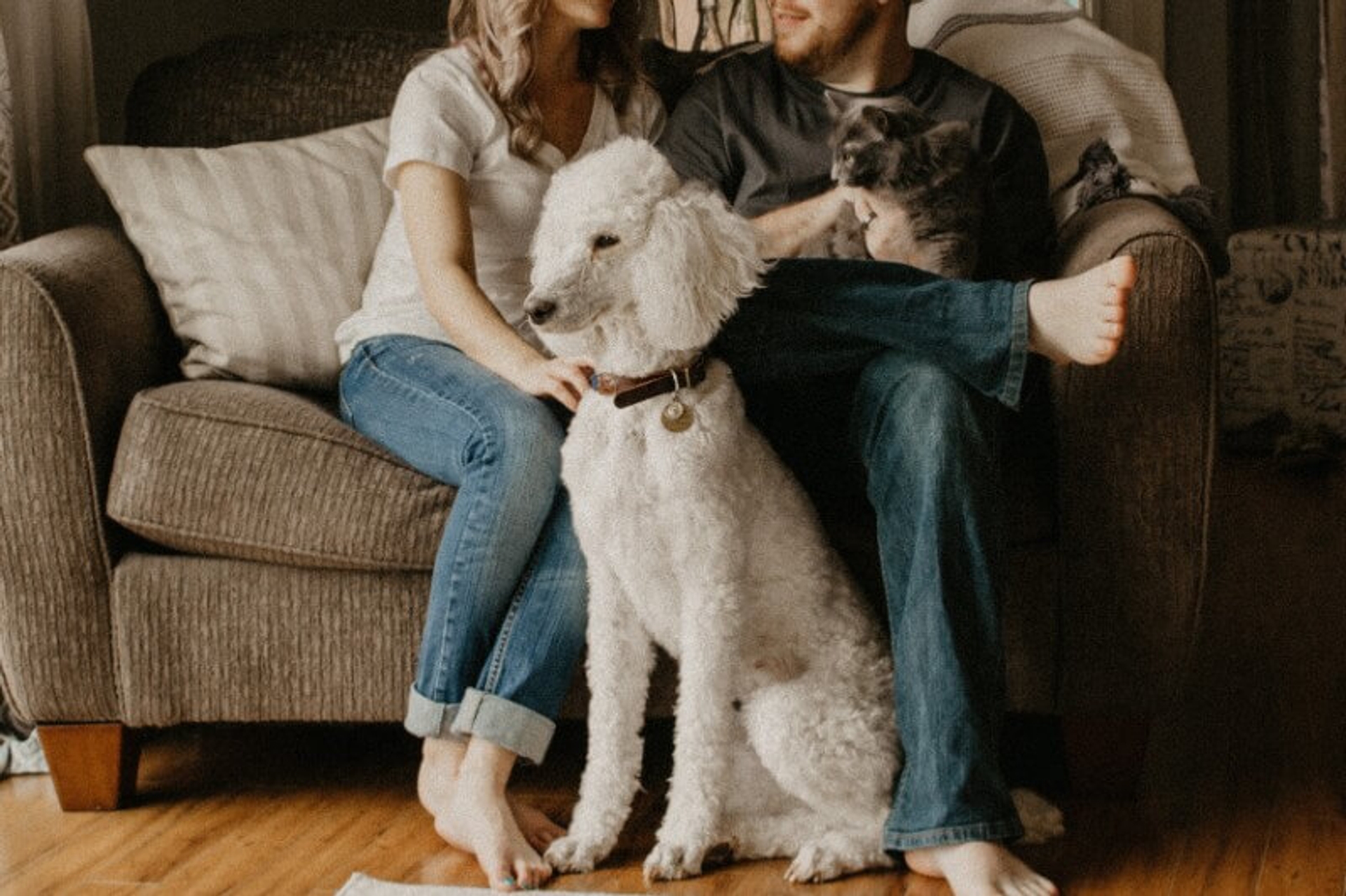 A couple sitting on a sofa with their pets