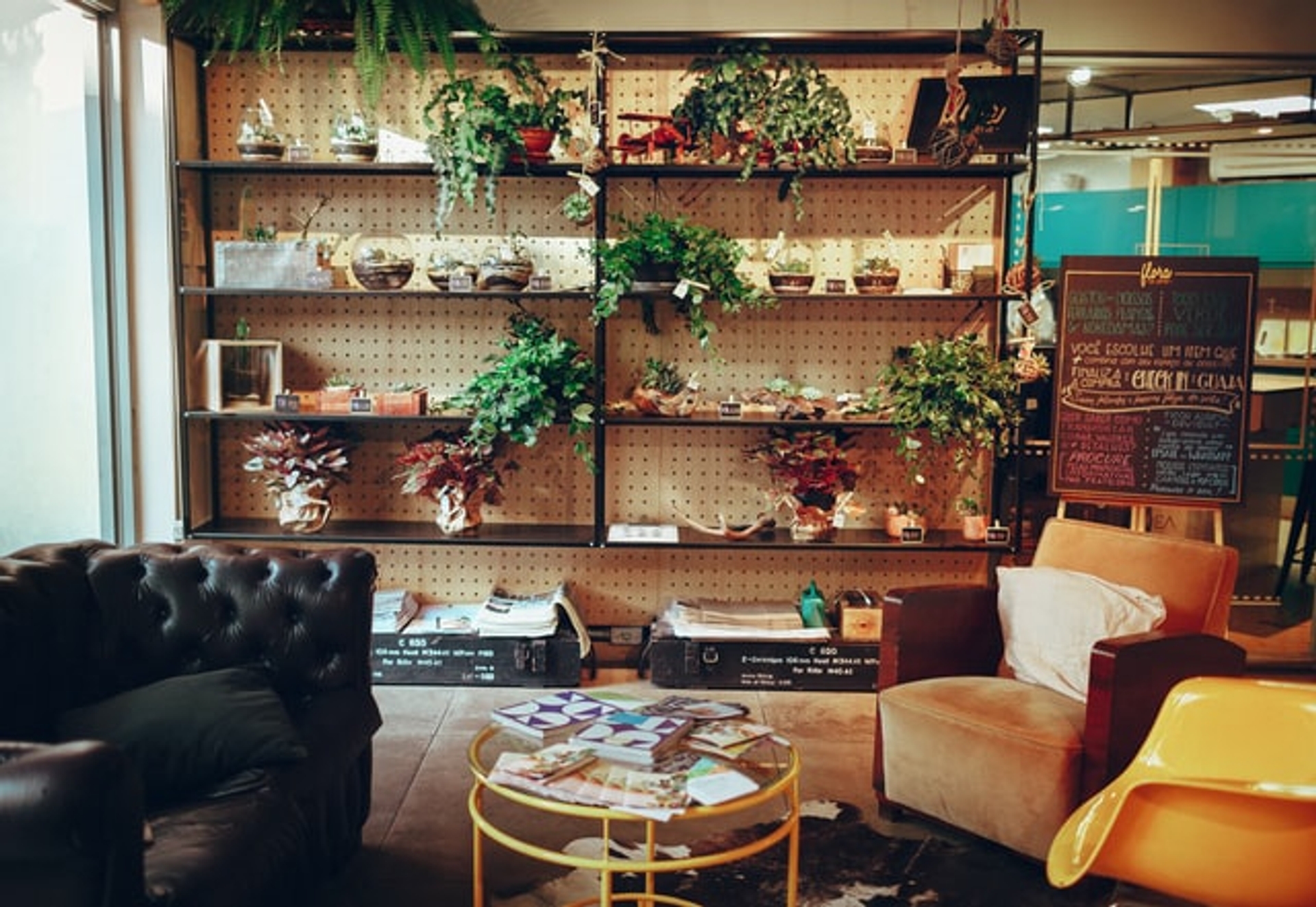 shelves filled with plants in a spacious living room