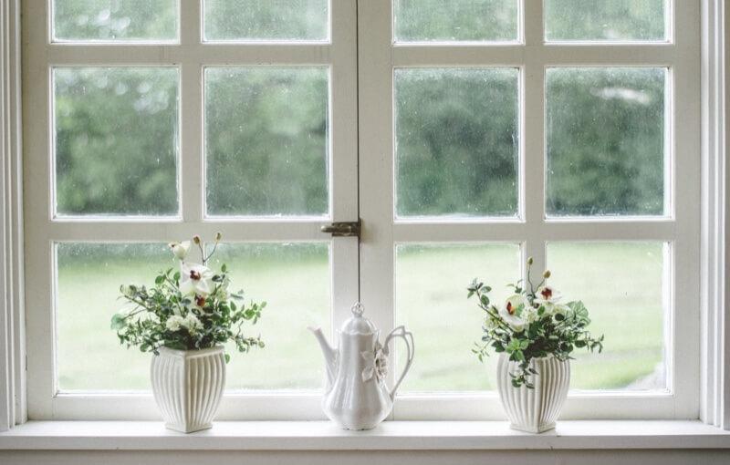 Flowers on a window sill