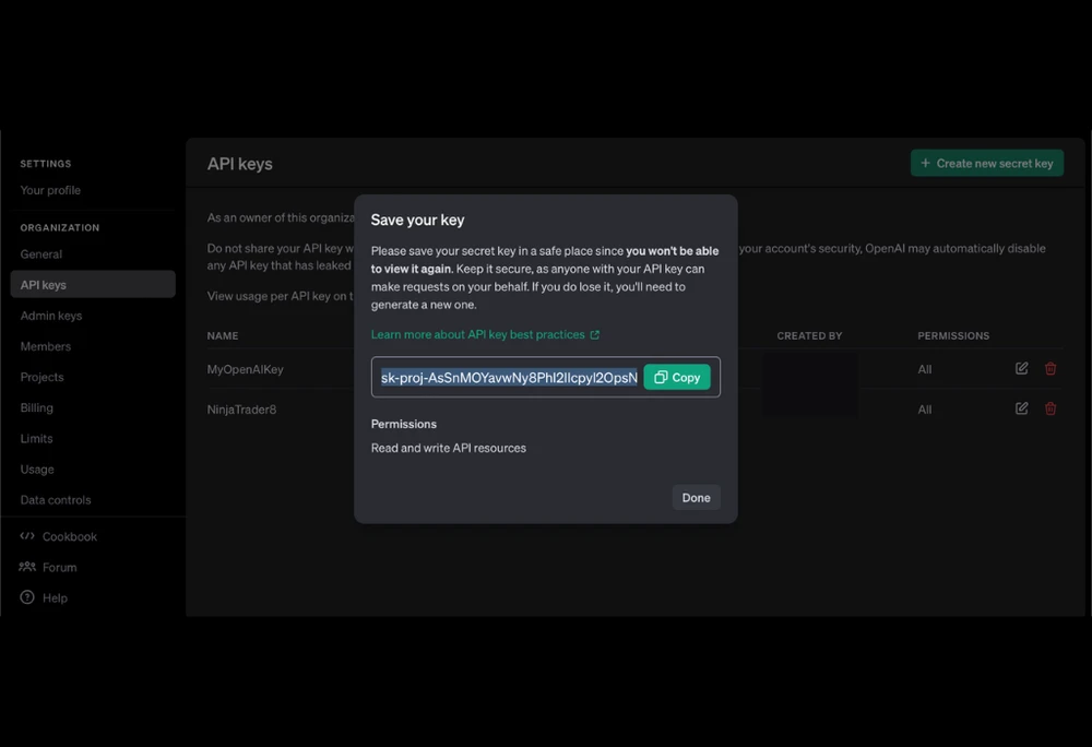 Save Your API Key