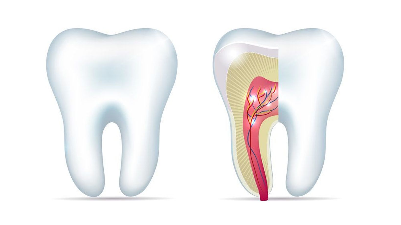 Dental Care 101: How Do Cavities Form?