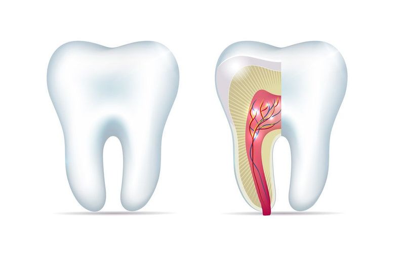 Dental Care 101: How Do Cavities Form?