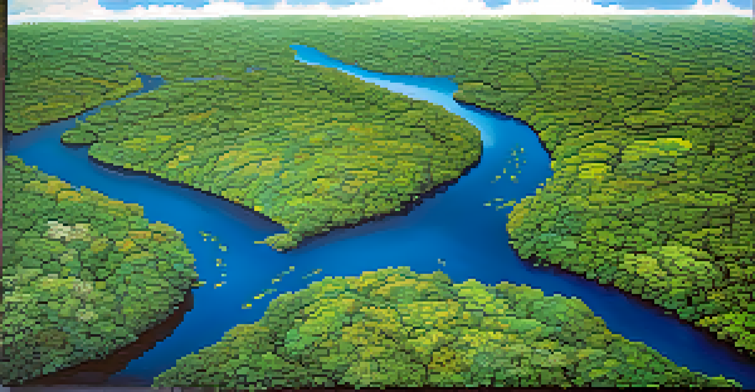 Aerial view of a protected Amazon Rainforest area with diverse greens, wetlands, and blue rivers, illustrating the rich biodiversity.