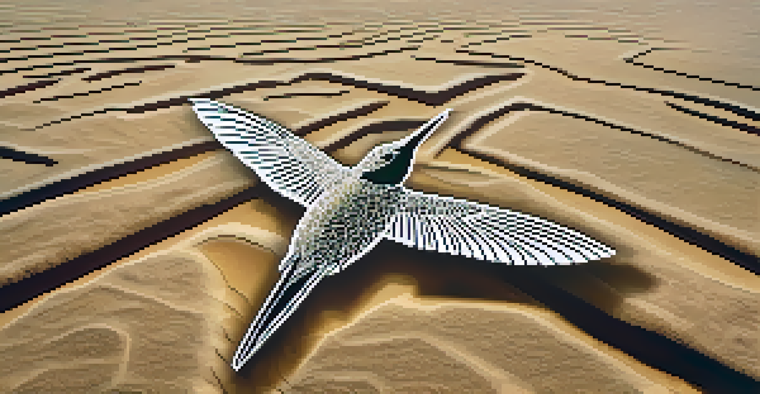 A close-up view of the hummingbird geoglyph from the Nazca Lines, highlighting its intricate details against the sandy desert floor.