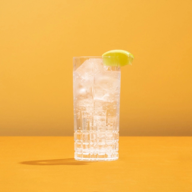 Classic Gin & Tonic