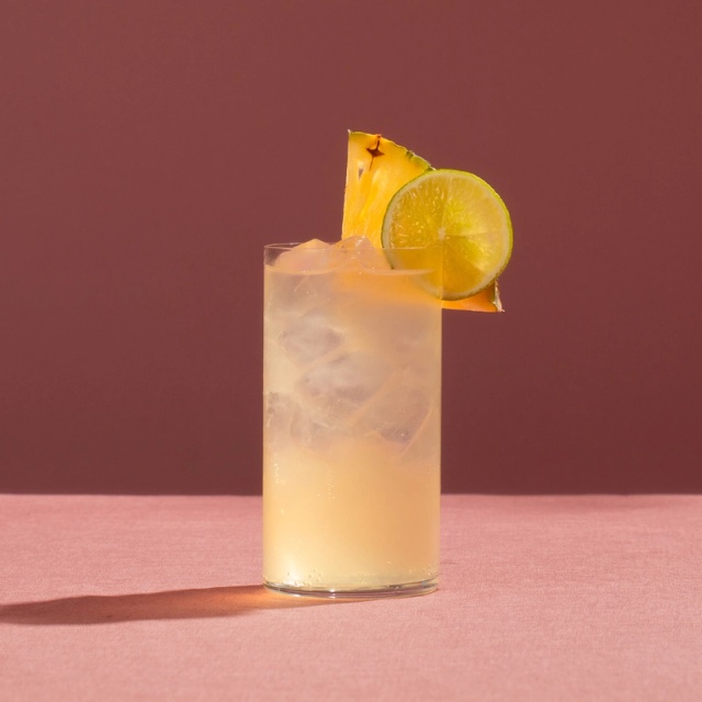Agave Y Pina
