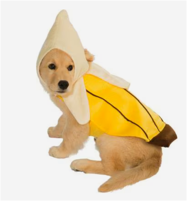 A golden retriever puppy wearing a banana costume.