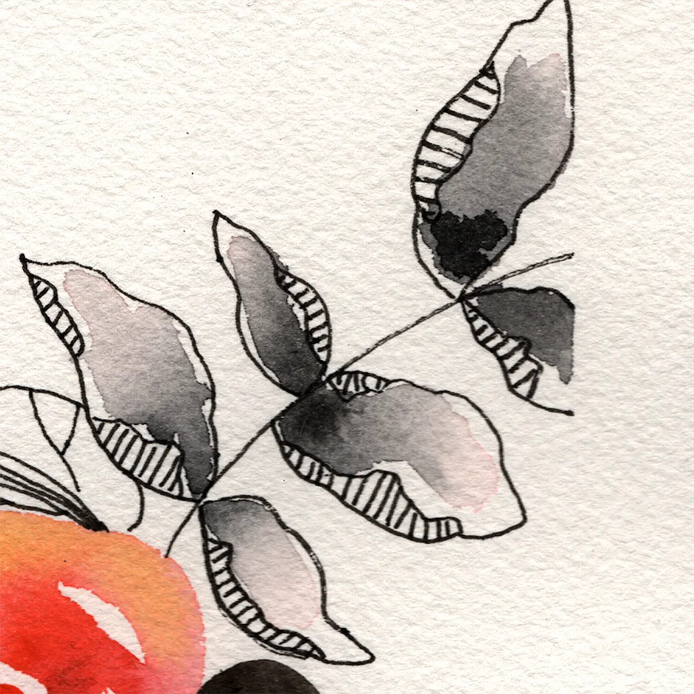 Roses rouges et feuilles noires — Matière