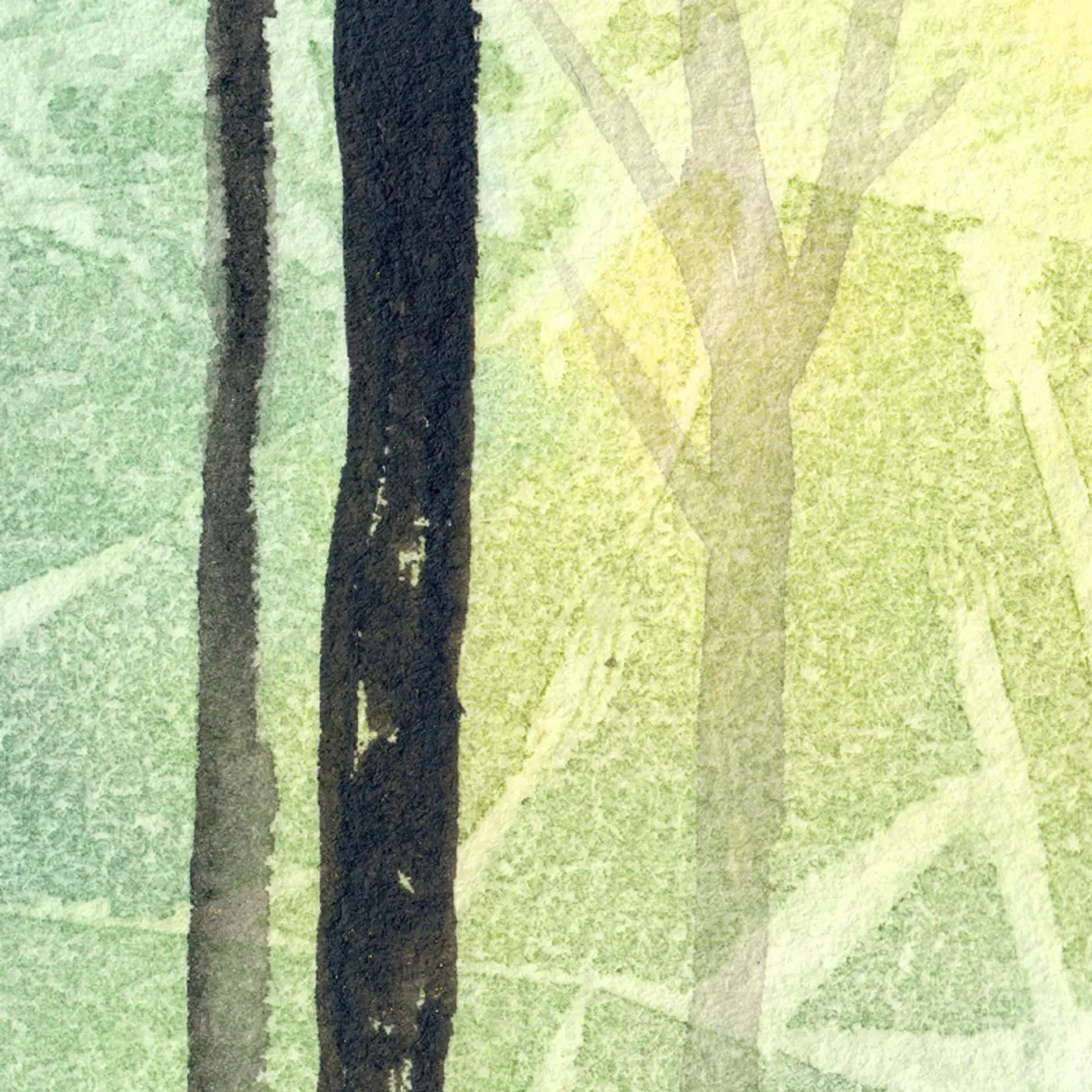 Forêt lumineuse verte — vue 4