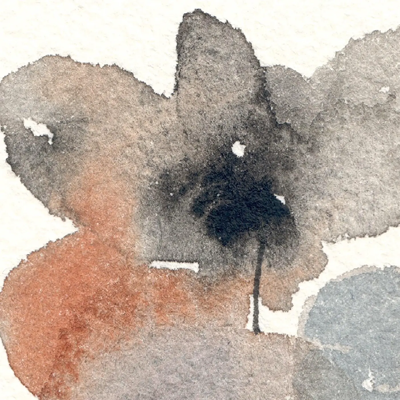 Fleurs sombres #4 — Matière