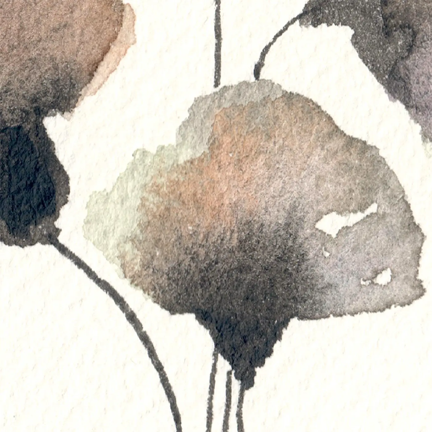 Fleurs sombres #1 — Matière