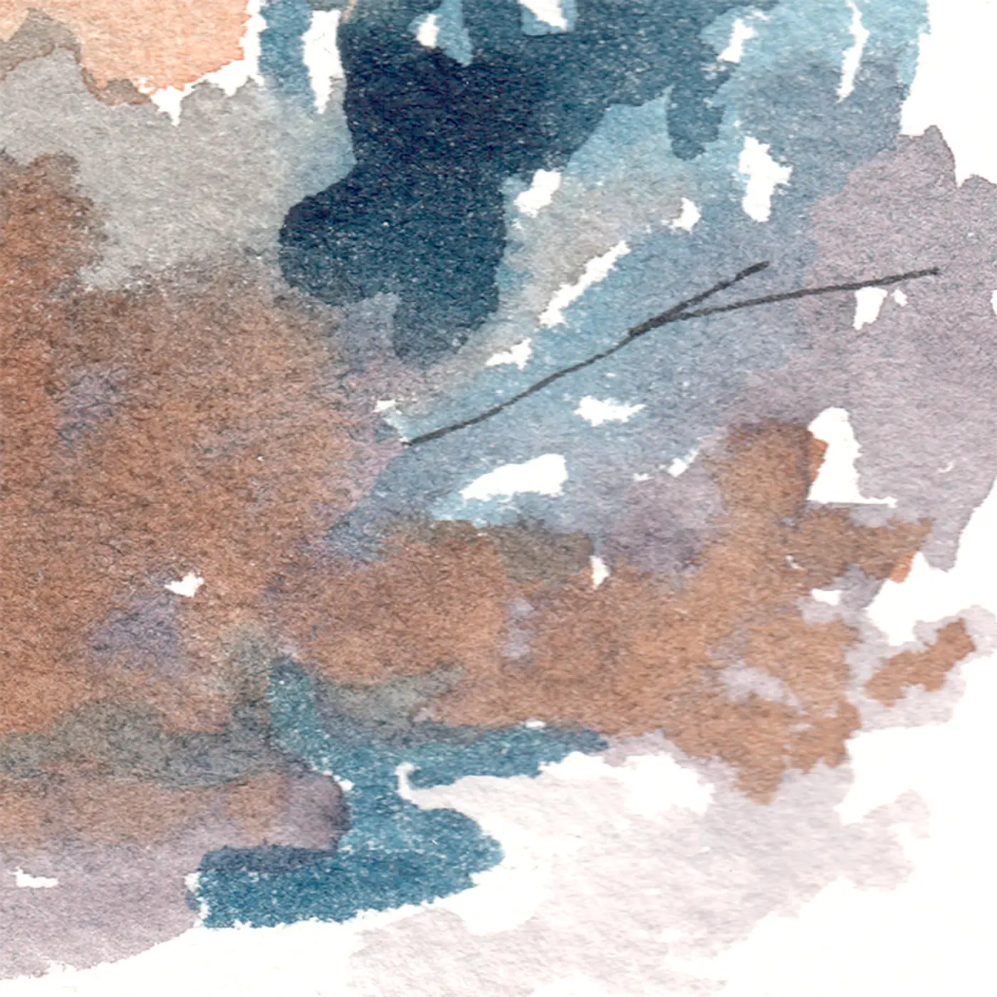 Arbre-racines gris — Matière