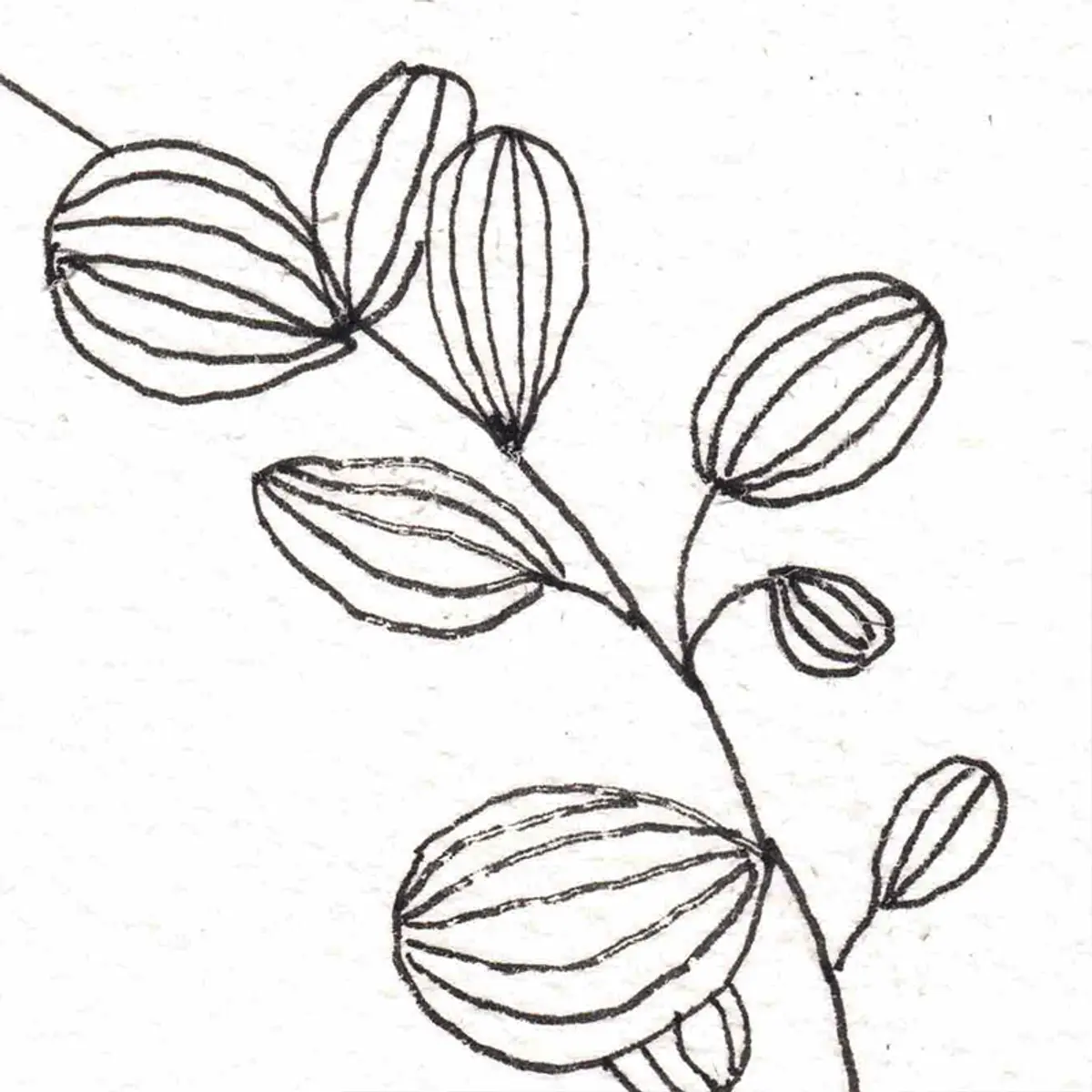 Là où la nuit prend racine #2 — détail 4