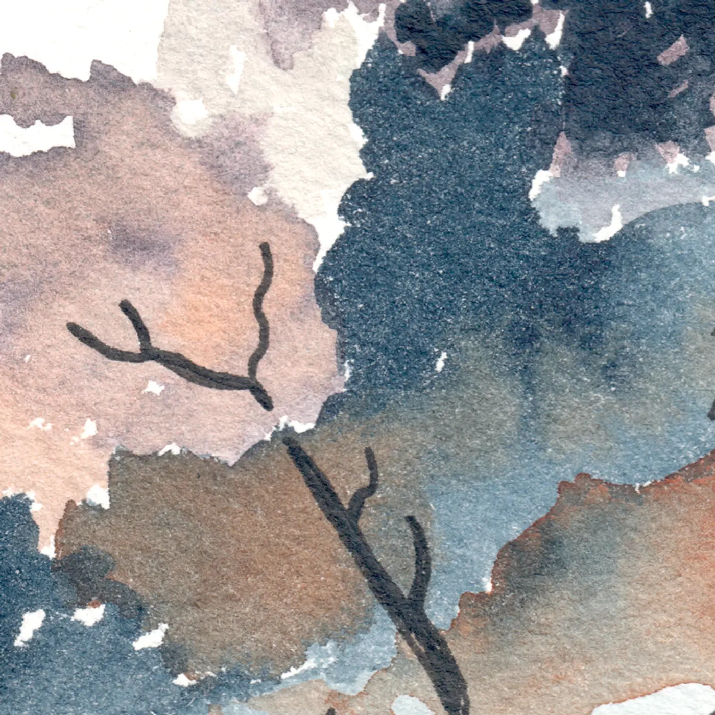 Arbre-racines gris — Matière