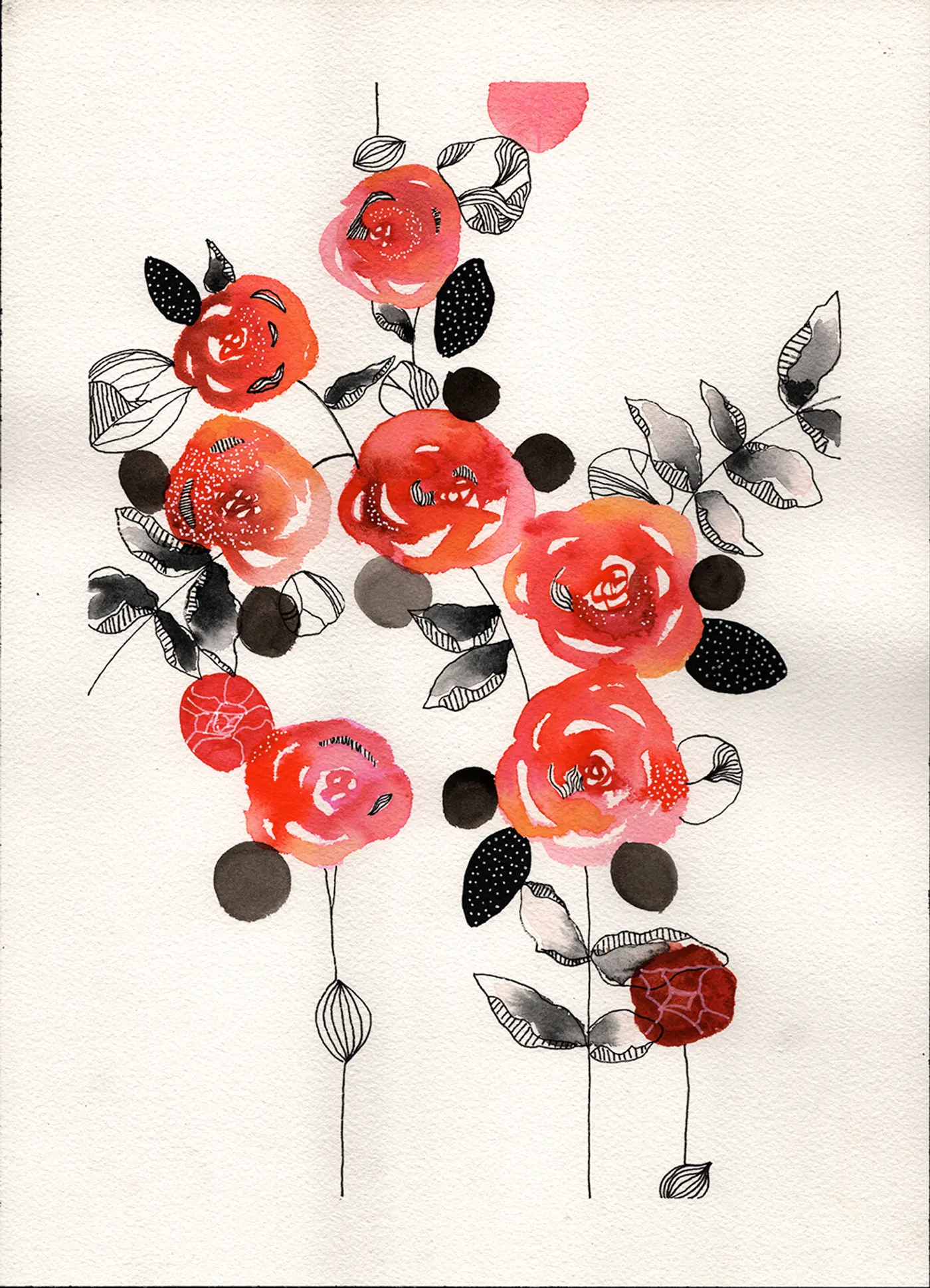 Roses rouges et feuilles noires