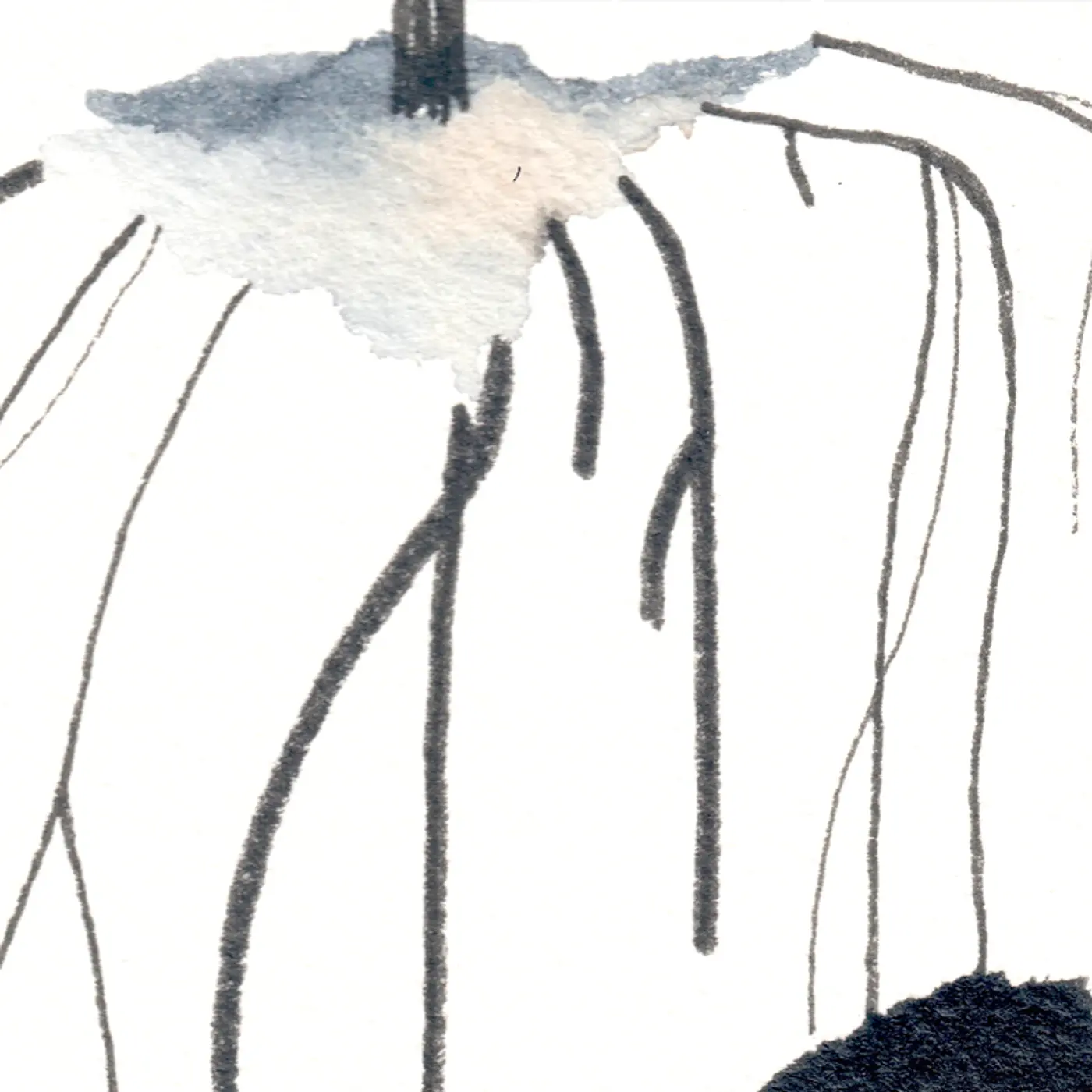 Arbre-racines gris — Matière