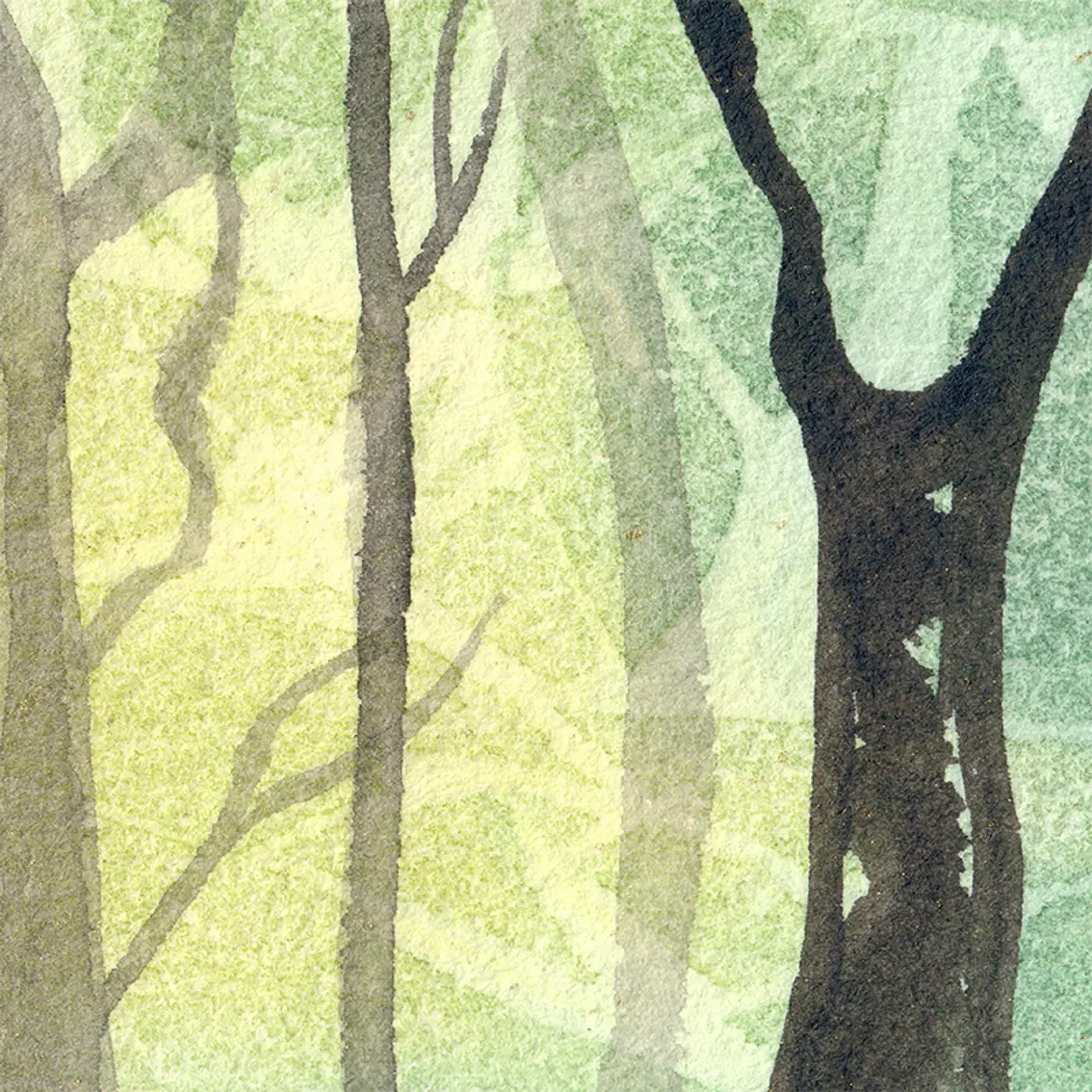 Forêt lumineuse verte — vue 2