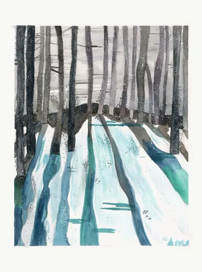 Forêt sous la neige