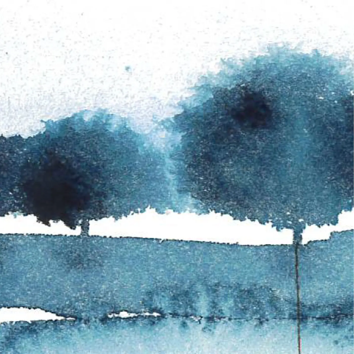 Aux racines d'un paysage #2 — Matière
