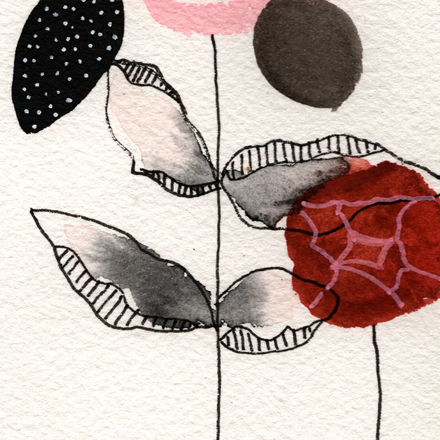 Roses rouges et feuilles noires — Matière