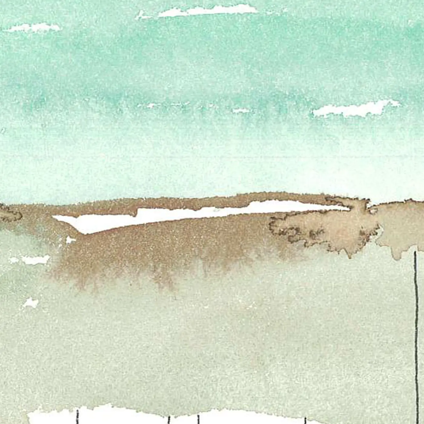Aux racines d'un paysage #1 — Matière