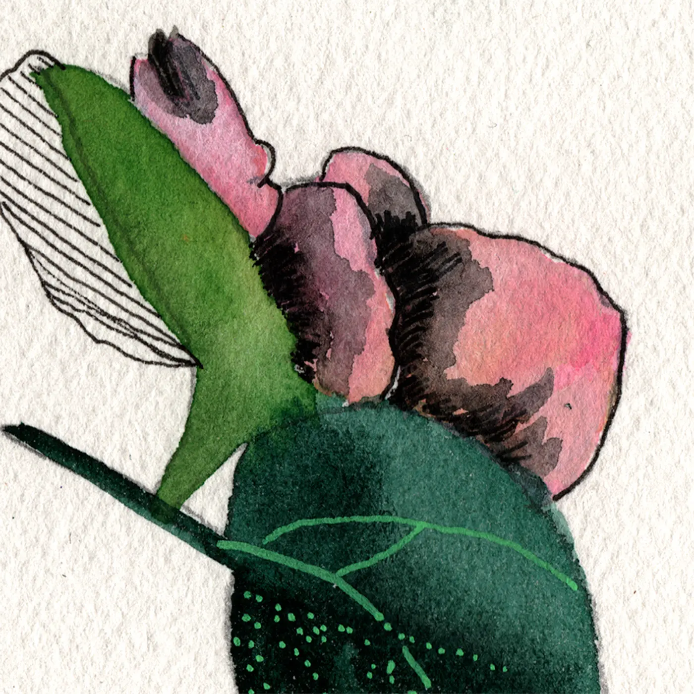 Branche d'hortensias et magnolia — Matière
