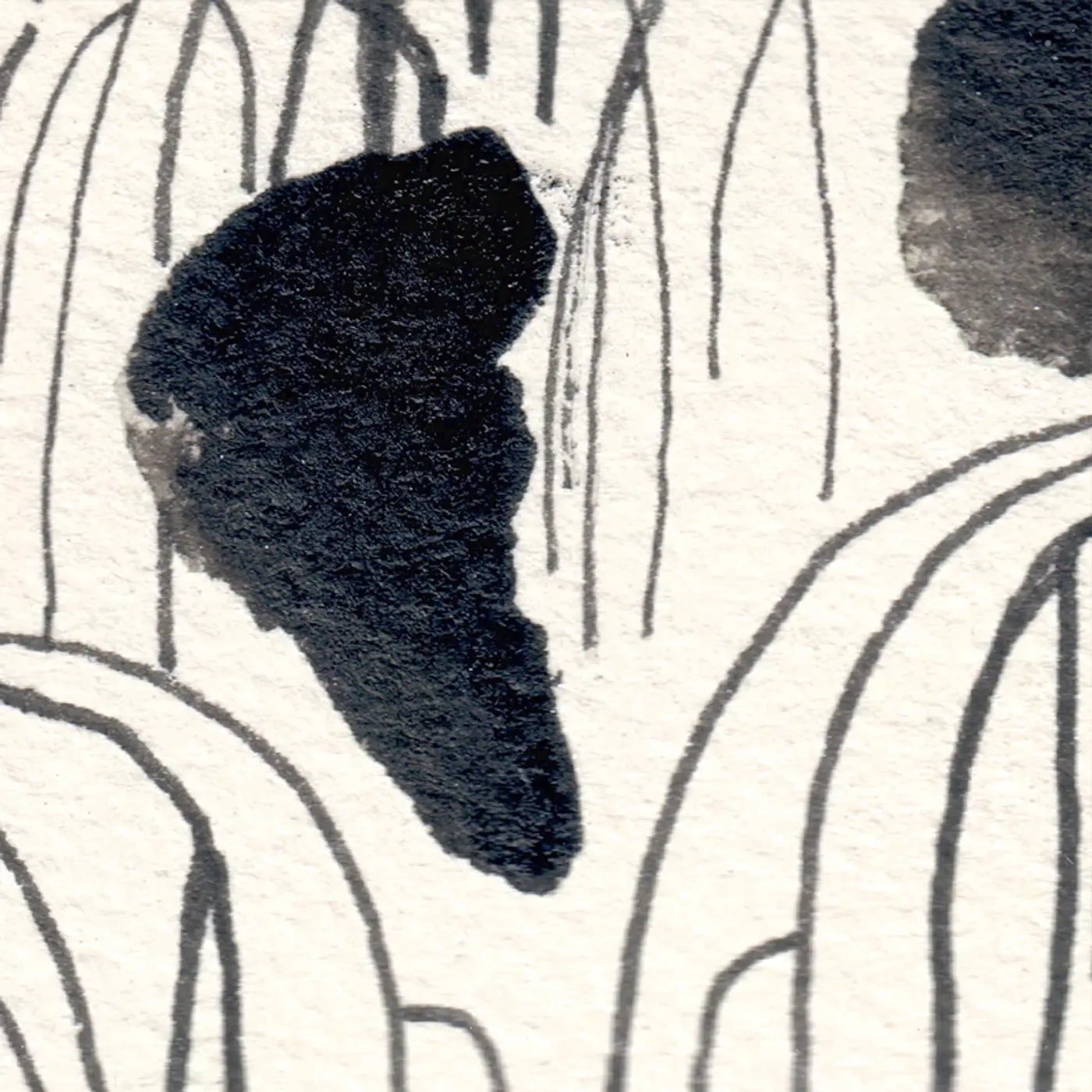 Forêt-racines verte — Matière