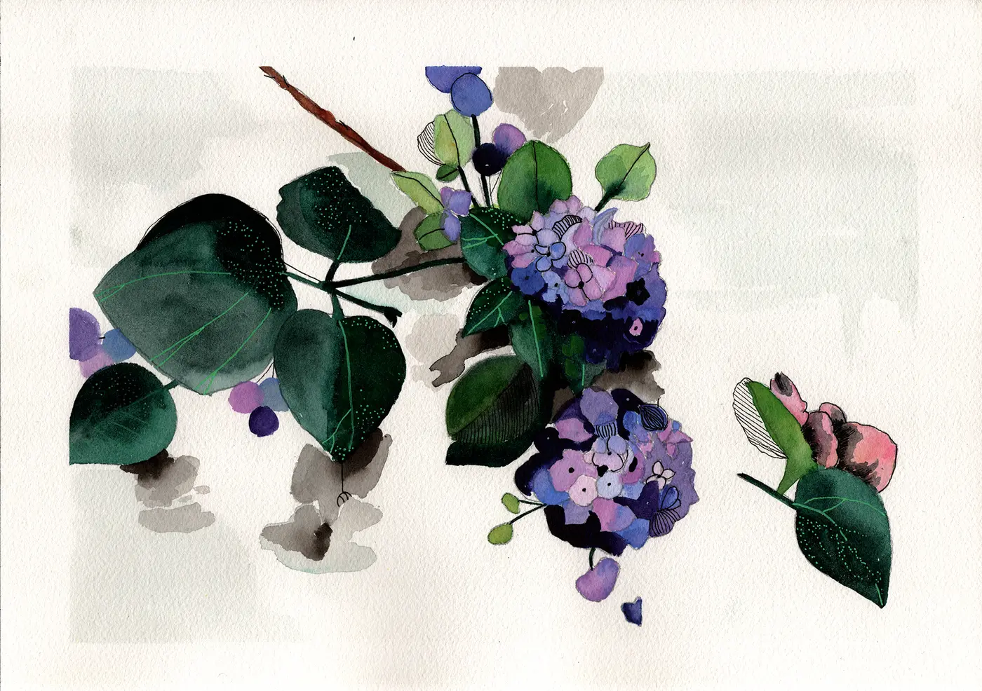 Branche d'hortensias et magnolia