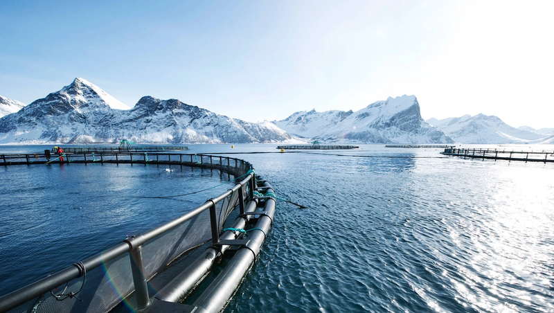picture of a fish farm with snowy mountains in the background