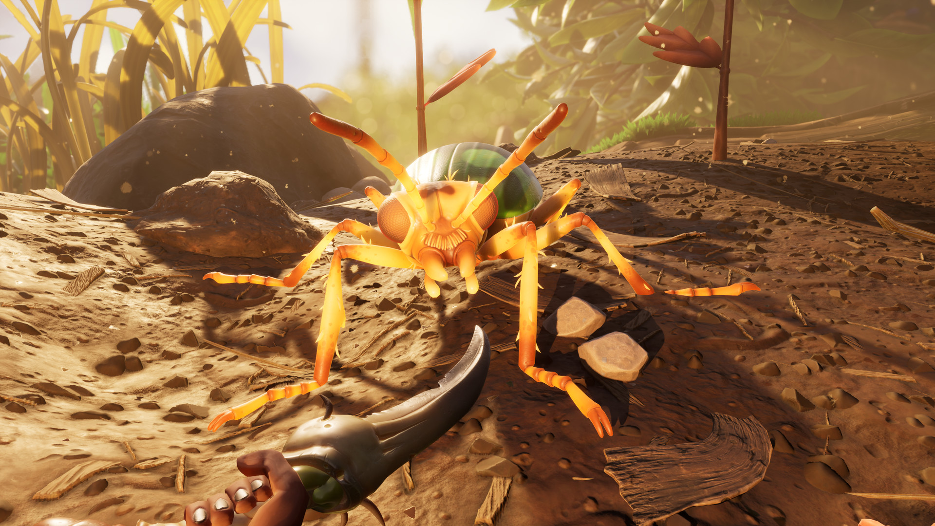 An orange soldier ant on sandy ground seen at eye level