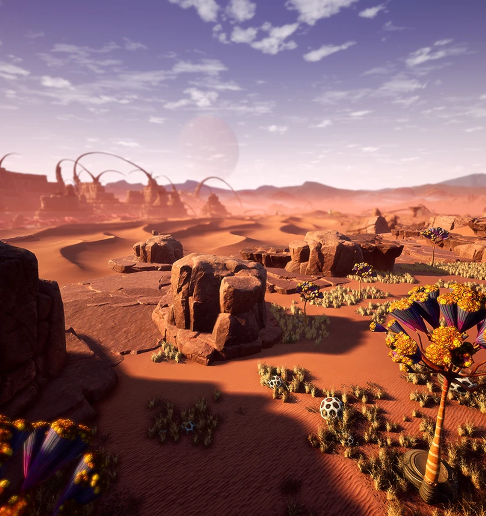 Dune desert